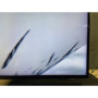 T&eacute;l&eacute;vision SAMSUNG QE65QN800AT 8K