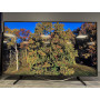 Télévision SAMSUNG QE50Q67A