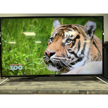 Télévision SCHNEIDER SC-LED43SC290C
