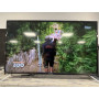 Télévision SCHNEIDER SC-LED43SC290C