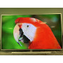 Télévision PHILIPS 58PUS7304