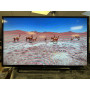 Télévision SONY KDL-40R480B